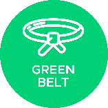 Lean Six Sigma - Green Belt